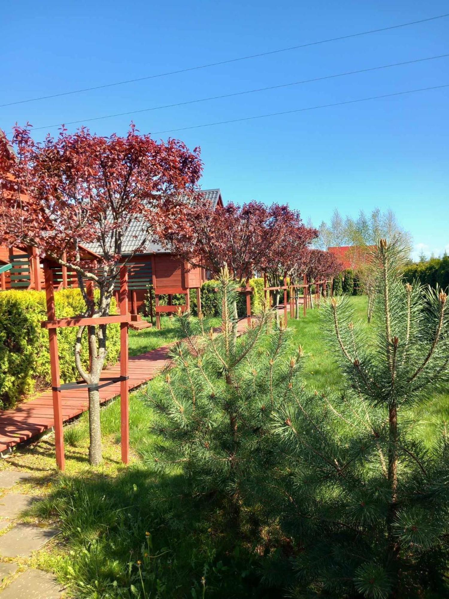 Mandarynka Ow Villa Jarosławiec Exteriör bild